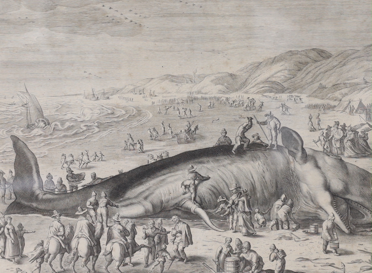 Gilham van der Gouwen (1657-1720), engraving, A Beached Whale between Scheveningen and Katwijk, sheet overall 29 x 36cm